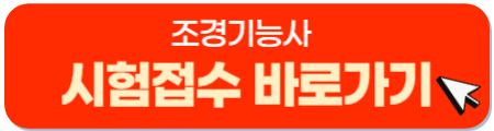 버튼