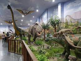 남양주 가볼만한곳 - 덕소자연사박물관