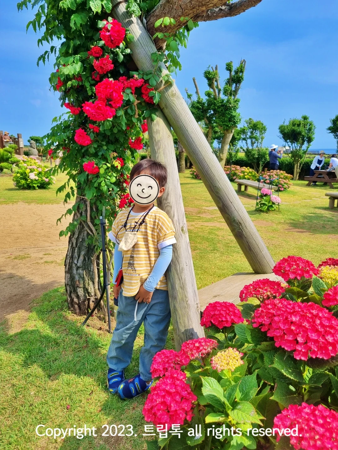 왼쪽상단은 빨간 수국, 오른쪽 하단데 진분홍 수국이 있고 그 사이 노란옷을 입은 아이가 서있다