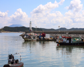 남당항 대하축제_15