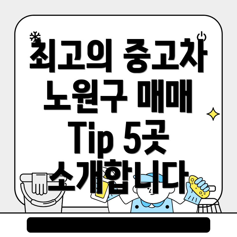 서울 노원구 중고차