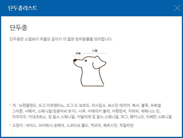 에어부산 개, 고양이 단두종리스트