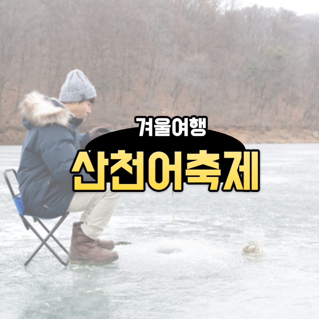 겨울 여행 화천 산천어축제 입장료 무료 예약방법