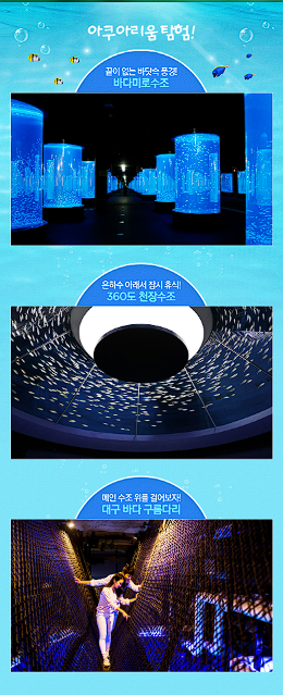 대구 아쿠아리움 입장료 할인