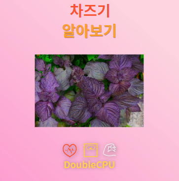차즈기
