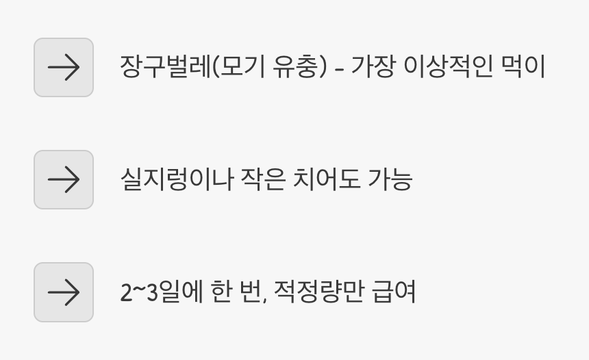 사냥꾼의 식탁, 살아있는 먹이의 중요성