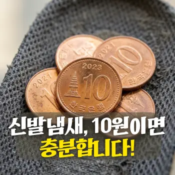 신발 냄새, 10원이면 충분합니다!
신발 내피 위에 놓인 반짝이는 구리빛 10원 동전의 **초밀착 클로즈업(Extreme Close-up)**.
