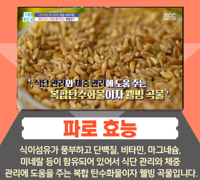 파로쌀 효능 02