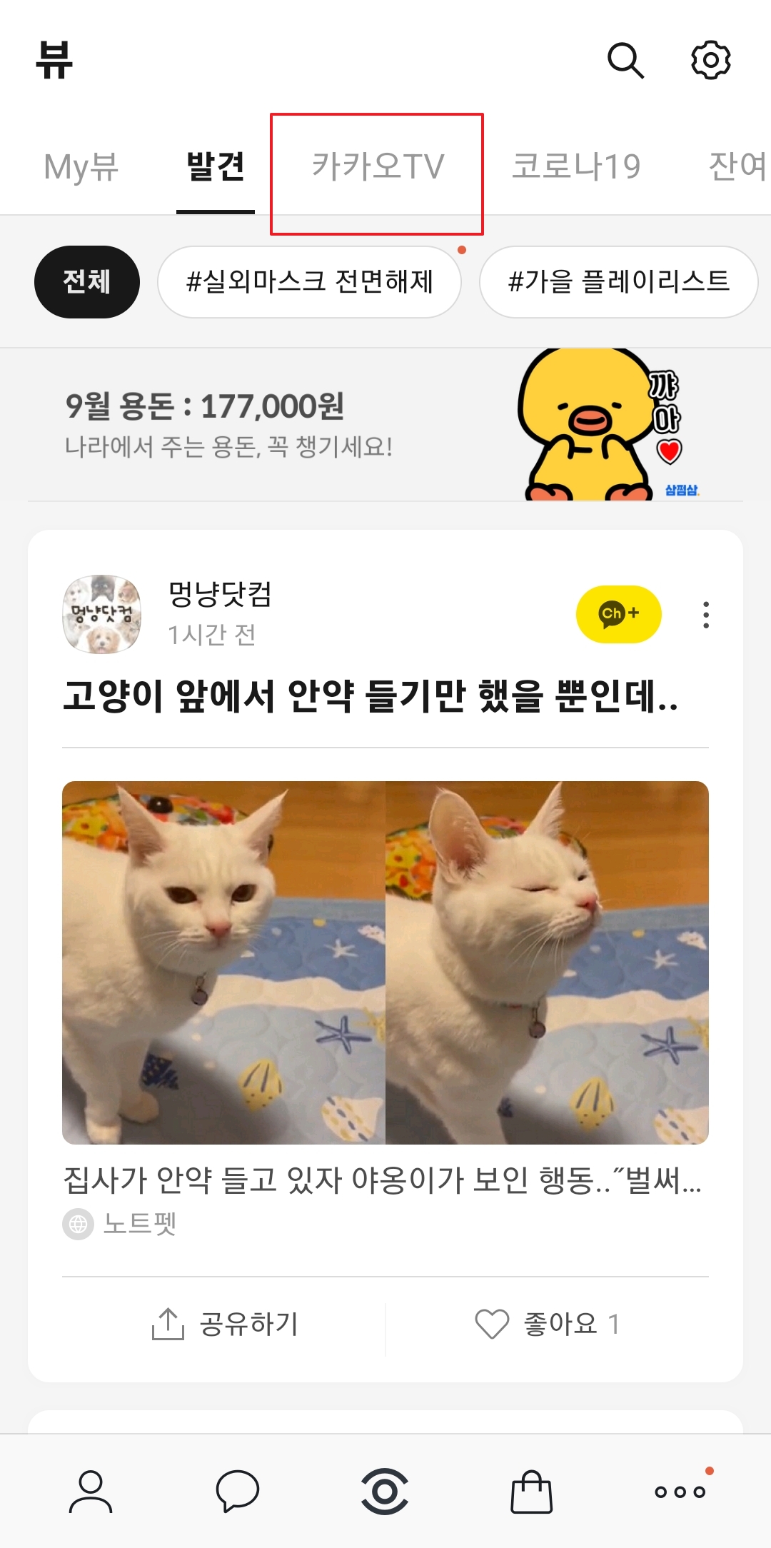 뷰 탭 상단 메뉴에서 카카오tv를 선택하는 화면