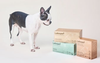 반려동물 영양제 추천 TOP 5 