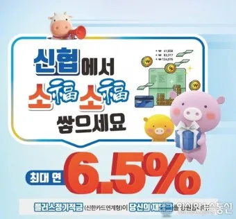 정기적금 금리 높은 곳 2024년_3