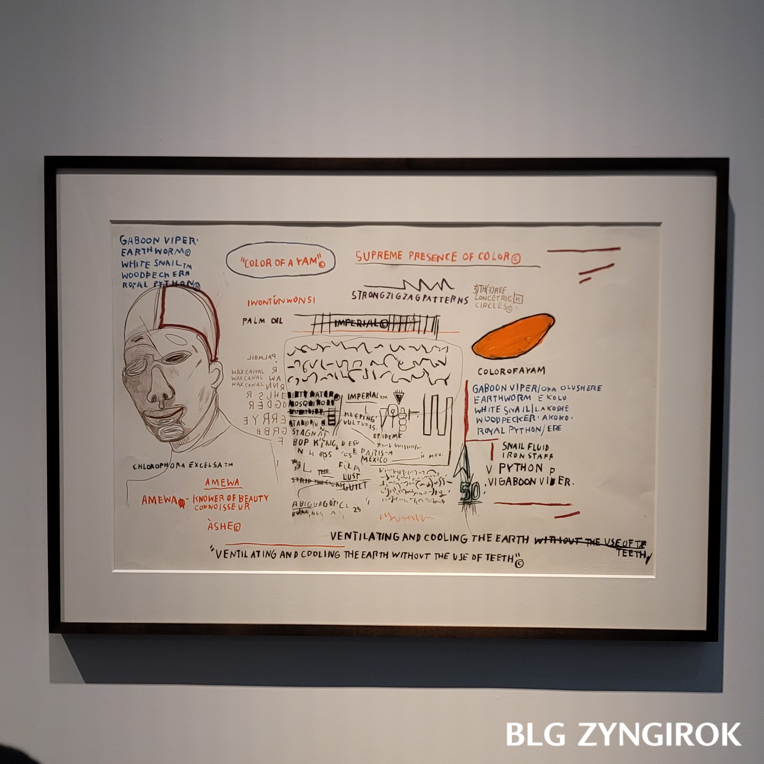 장미셀 바스키아 - 과거와 미래를 잇는 상징적 기호들