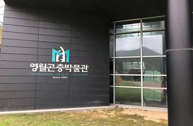 영월곤충박물관