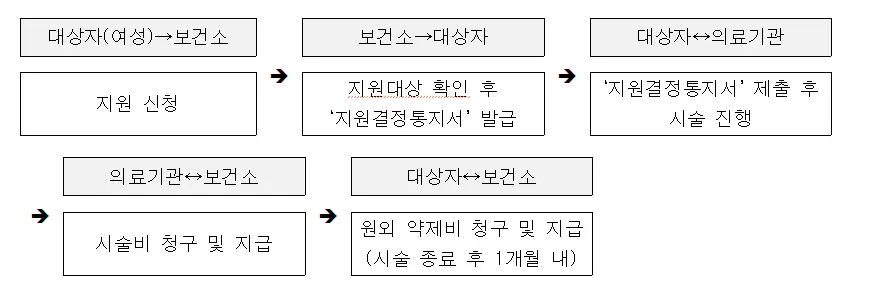 난임지원-절차
