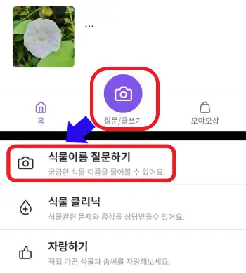 모야모-앱의-식물-이름-질문하기-버튼