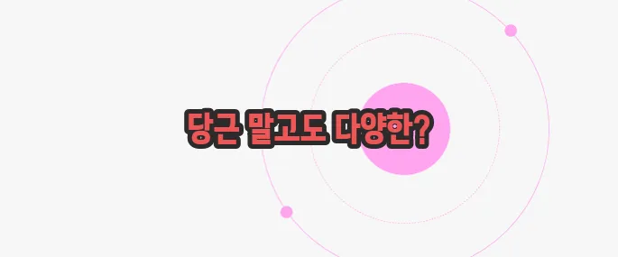 비타민A가 많은 음식 궁금한 점, 풀어보죠