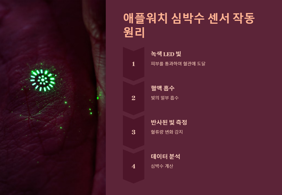 건강모니터링