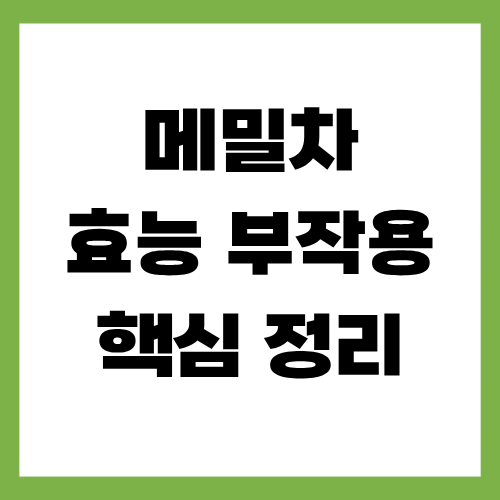 메밀차 효능 부작용 핵심 정리