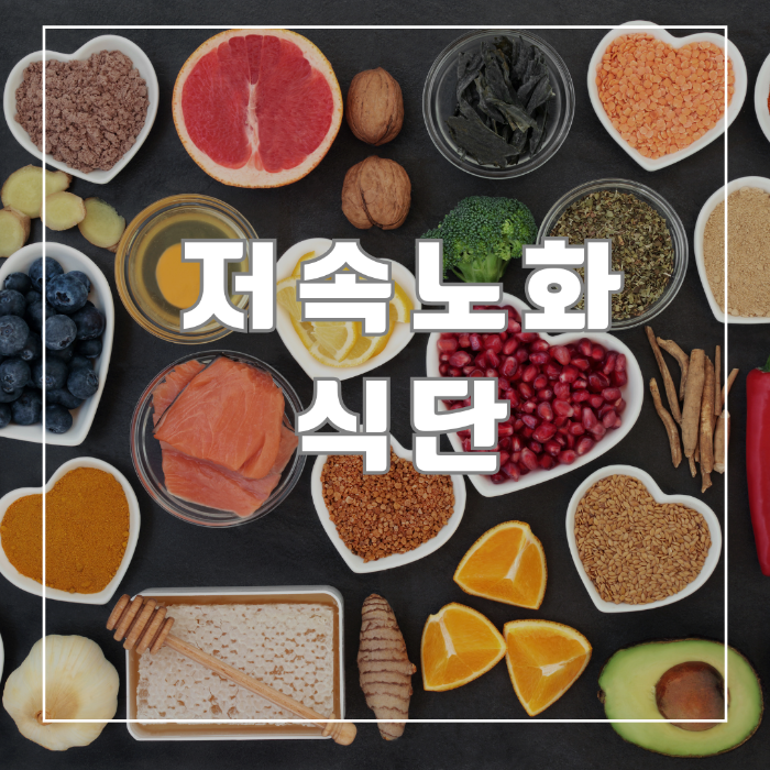 저속노화 식단