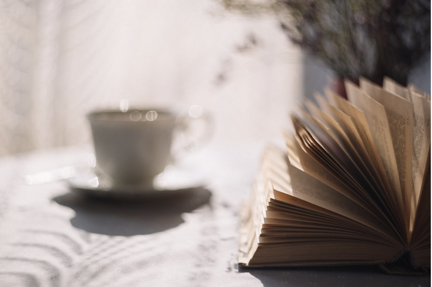 커피잔과 책사진