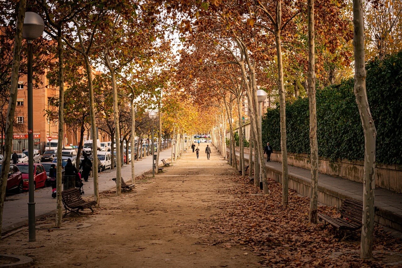 입동 날짜와 의미