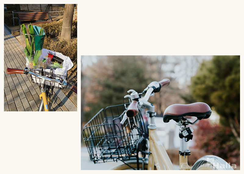 바구니 속에 대파 등 각종 채소가 담겨 있는 모습