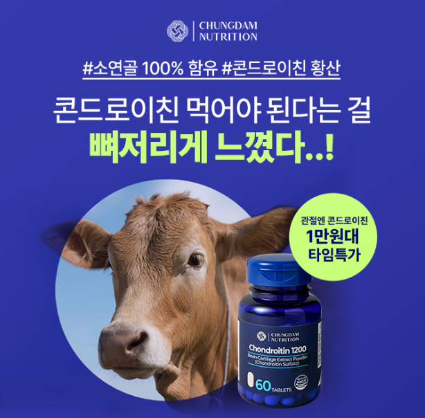 캐시닥 콘드로이친 퀴즈 정답