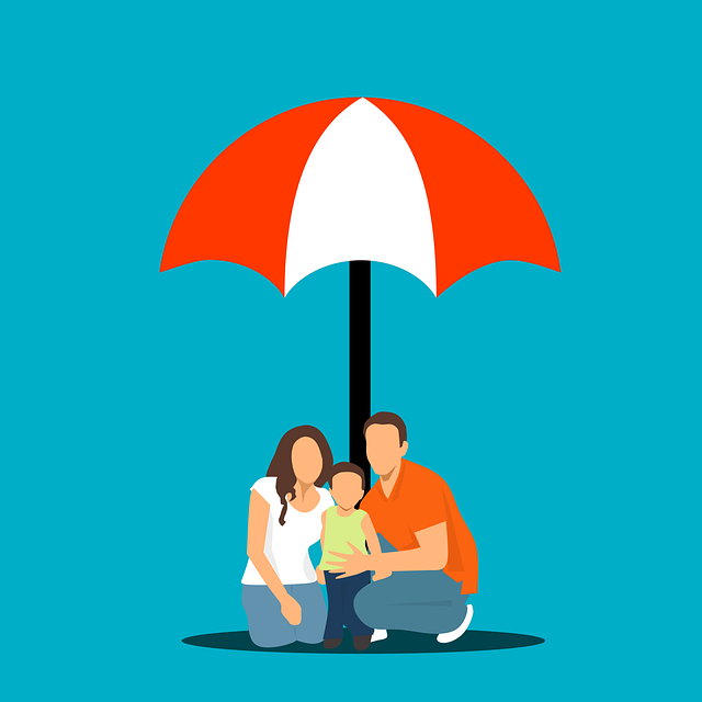 2025년 최신 SGI서울보증보험 대출조건&middot;금리&middot;리스크 총정리