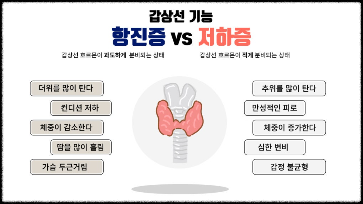진료 구분