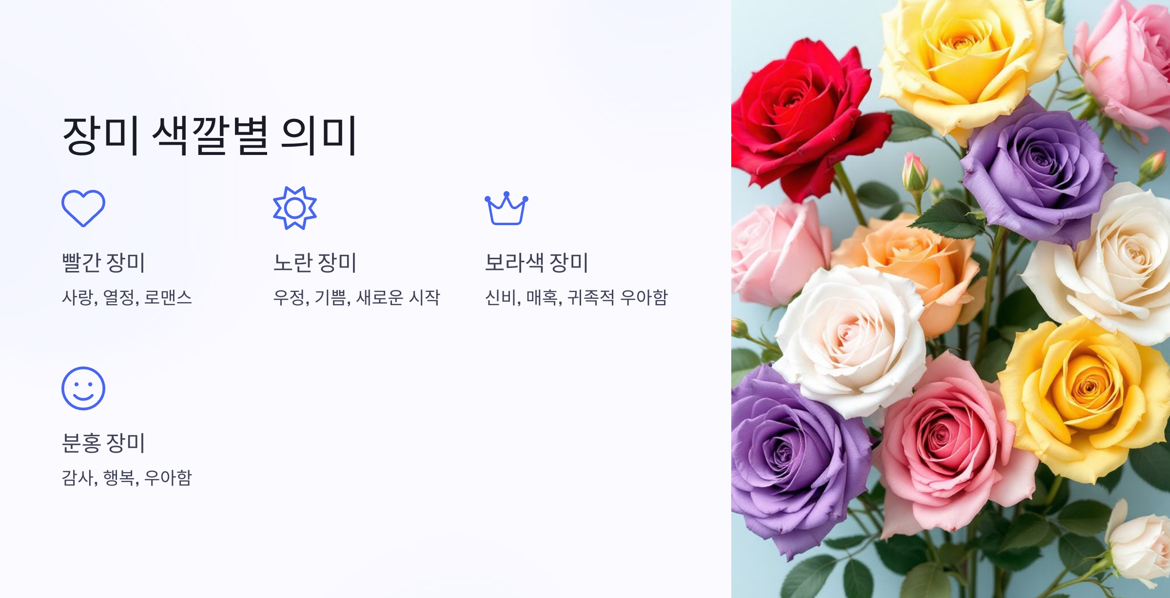 장미색깔 사진