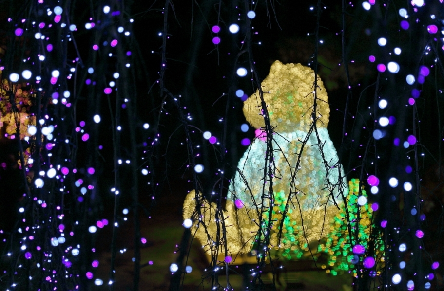 아침고요수목원-겨울관람-할인-예약으로-즐기는-모습들-사진