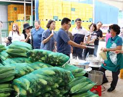 제14회 향수옥천 옥수수 감자 축제 기본일정과 프로그램 정리