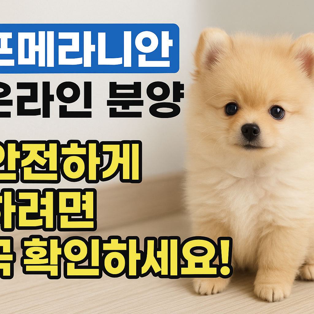 포메라니안 온라인 분양