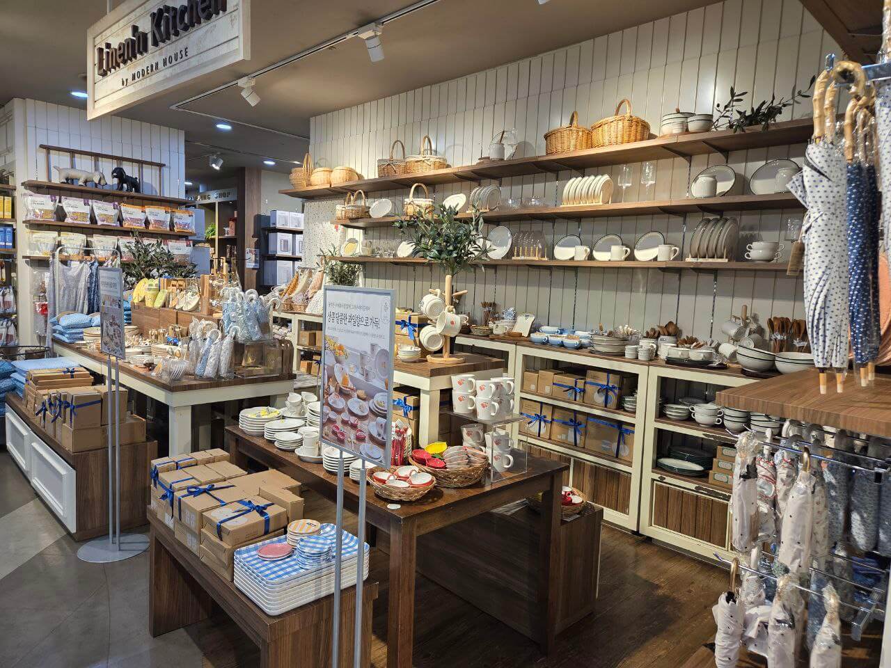 모던하우스 종류별 그릇과 감성 가득한 추천 소품