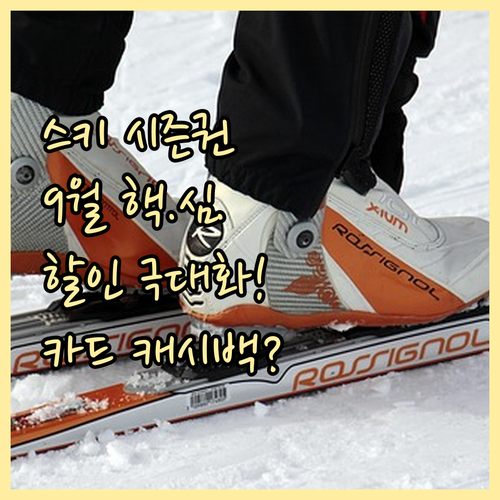 스키 시즌패스 할인율 극대화 9월 얼..