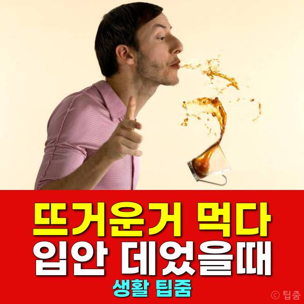 입안 데었을때 뜨거운거 입천장