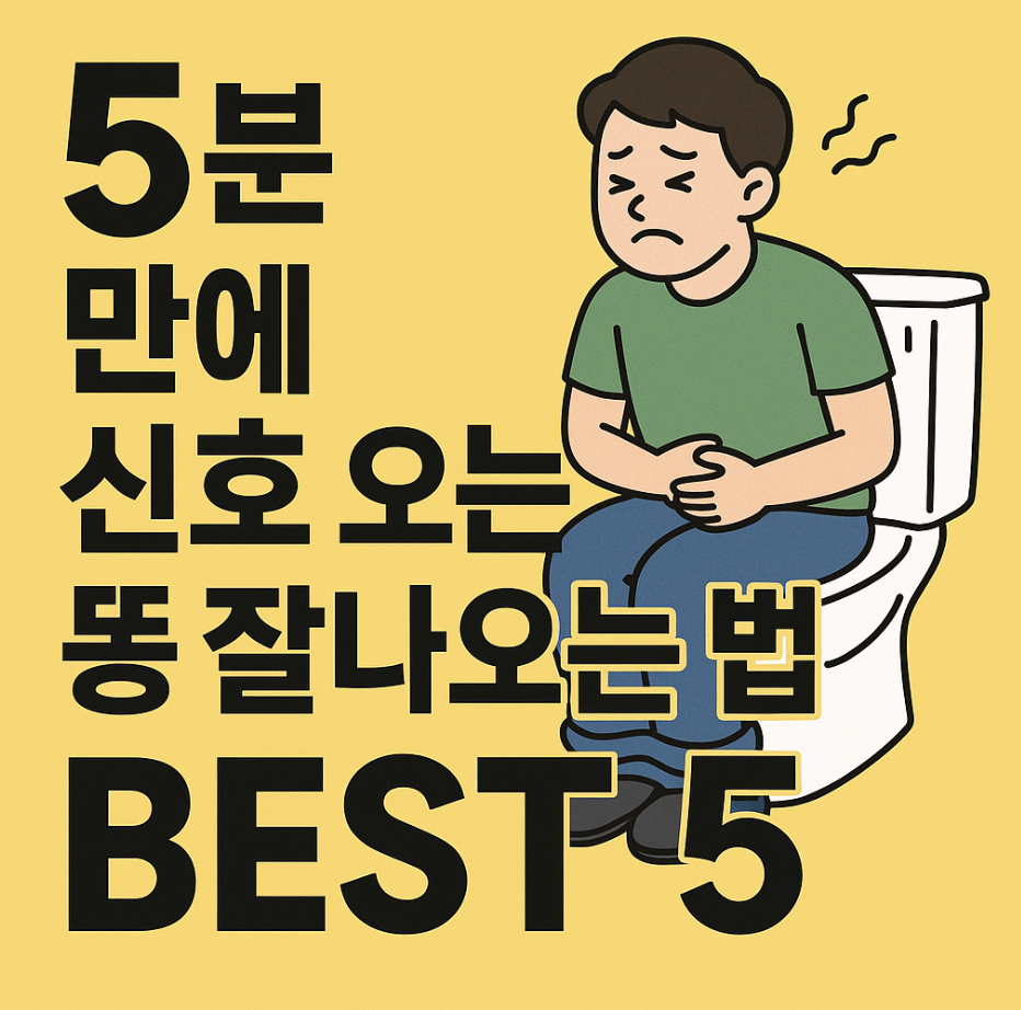 5분 만에 신호 오는 똥 잘나오는 법 BEST 5