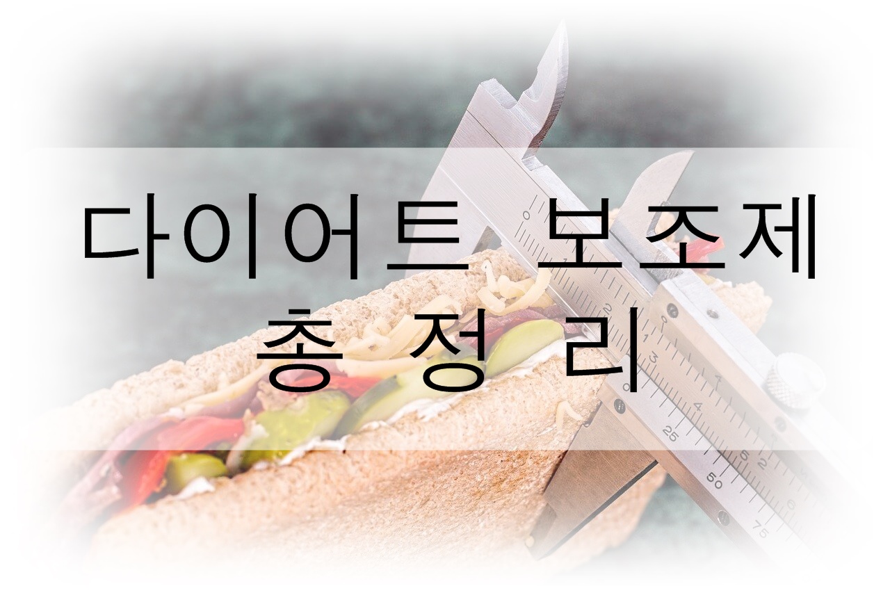 다이어트 보조제 총정리! (추천, 효과, 부작용)