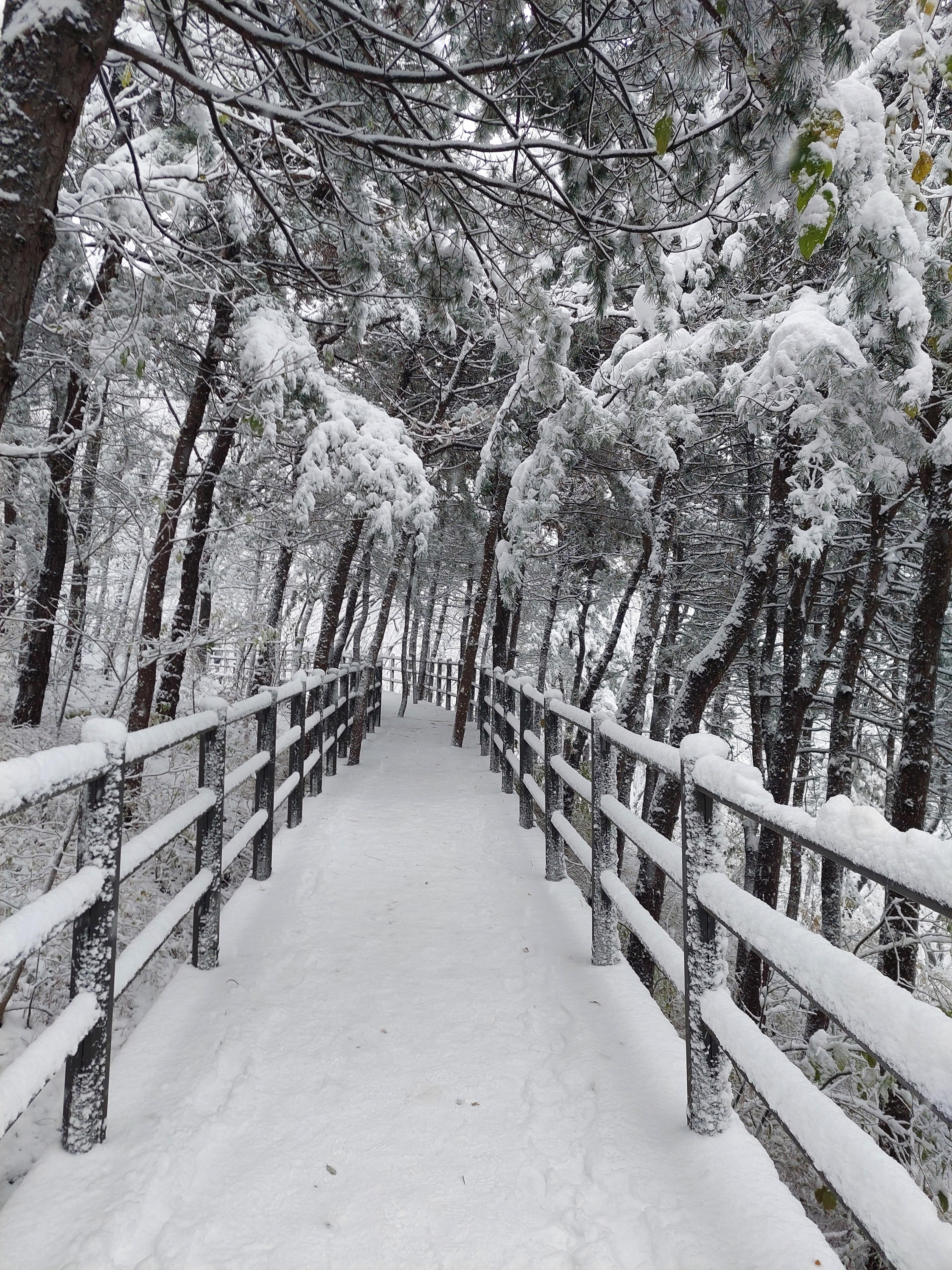 백련산안산