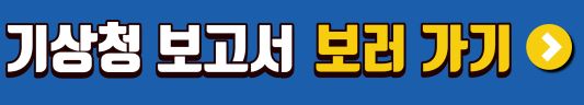 장마 보고서