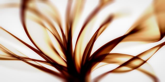 디지털 유산 상속