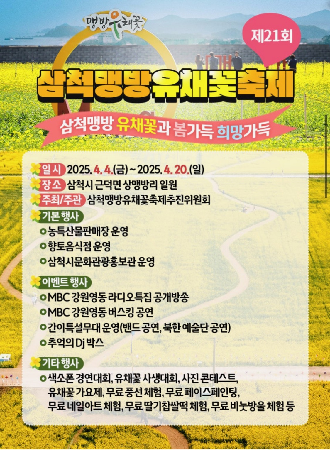 2025 삼척 맹방유채꽃축제