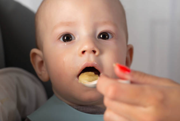 소고기 이유식 궁합음식