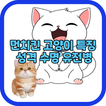 먼치킨 고양이 특징 성격 수명 유전병