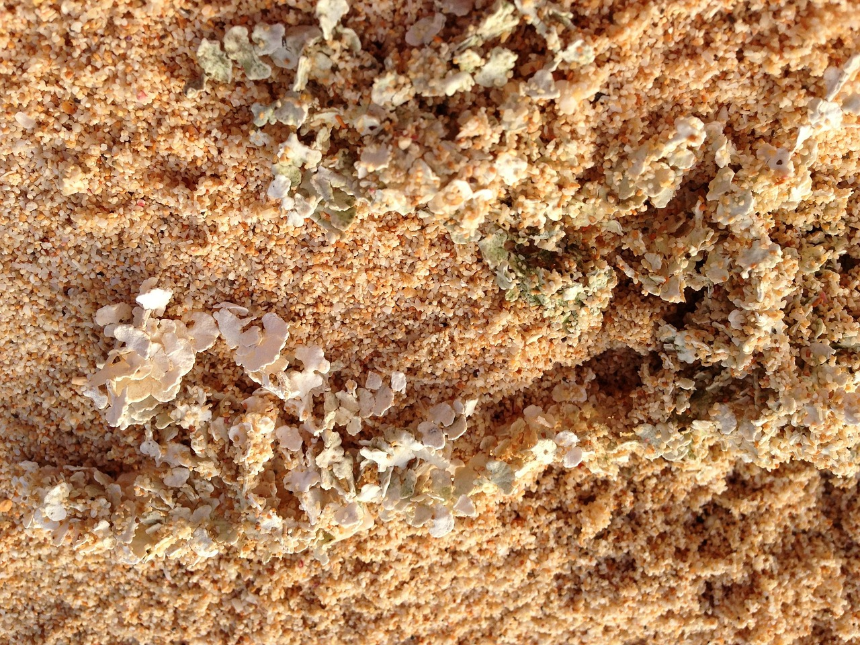 사이판 또는 괌 입국 준비 절차 완벽 가이드 (2024 최신 업데이트) 