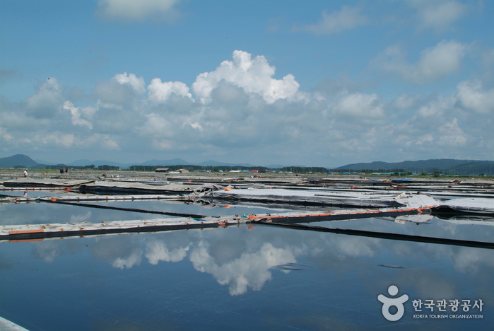 영광 가볼만한곳 베스트10