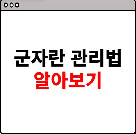 군자란 관리법 알아보기