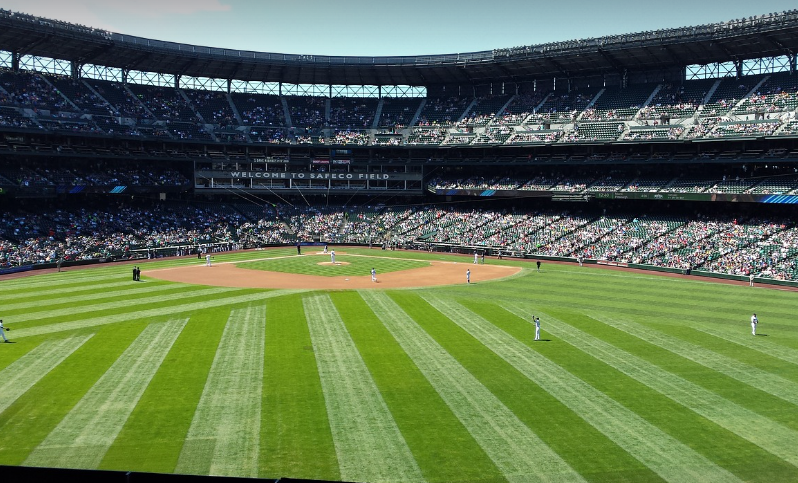 미국 MLB 경기 사진