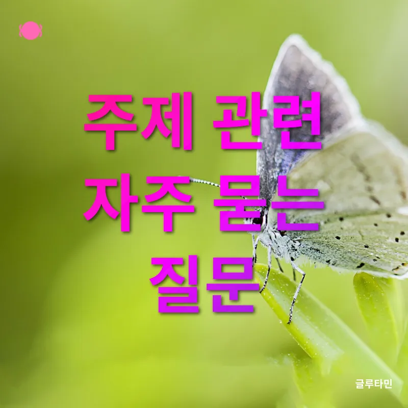 아가토스 사진 활용법_4