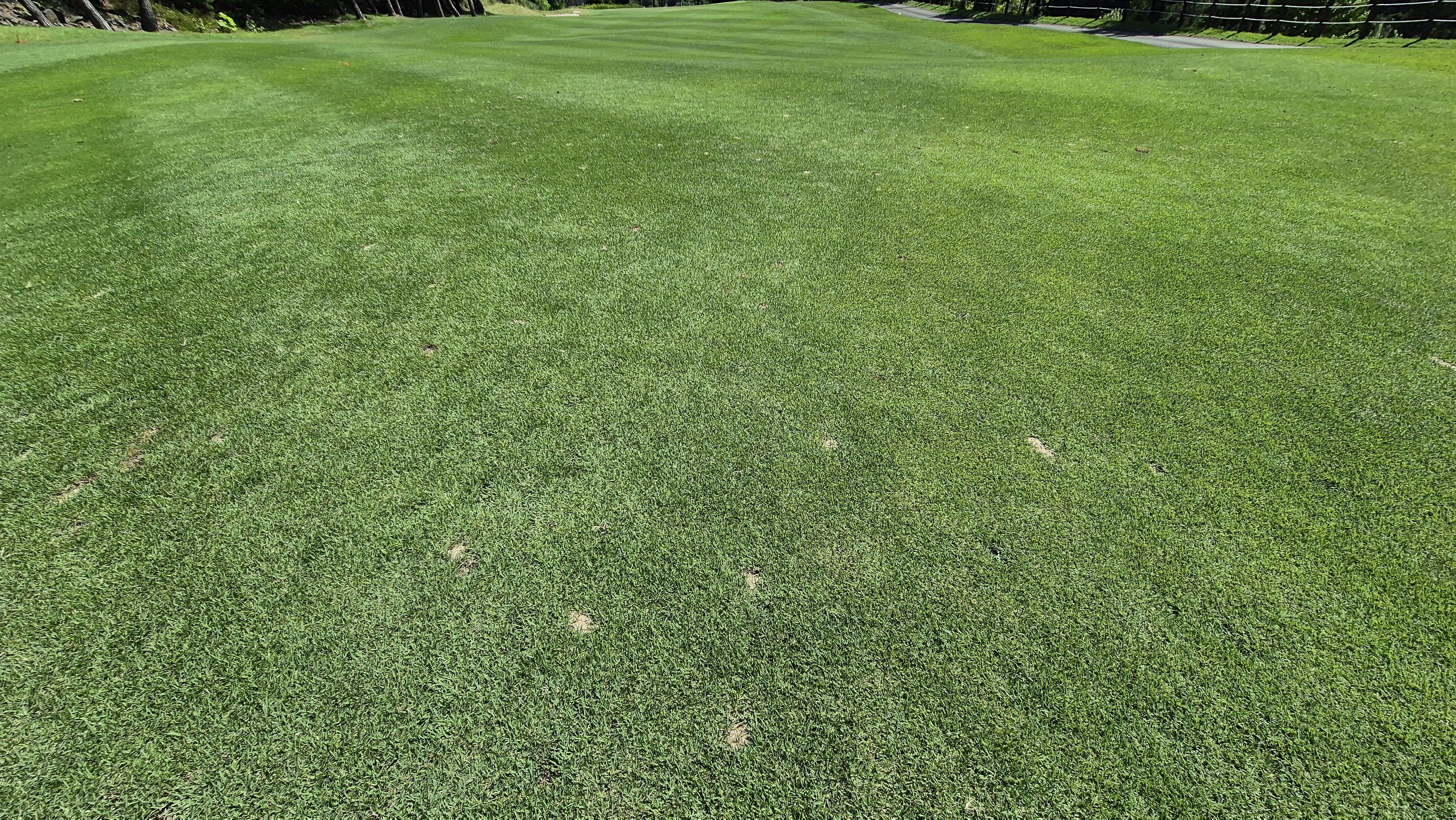 골프존카운티 화랑 라운드 후기